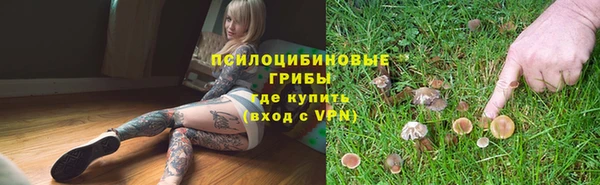 2c-b Баксан